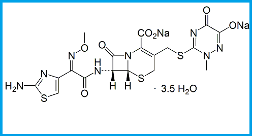 CEFTRIAXONE DISODIUM SALT HEMIHEPTAHYDRATE 